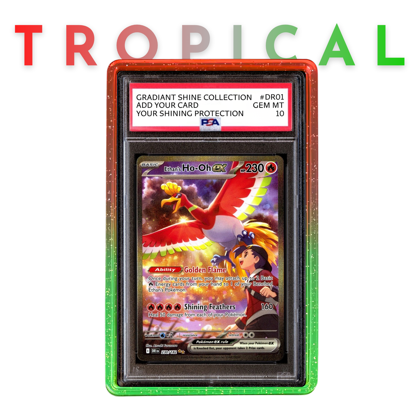 Tropical